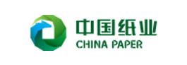 中国纸业