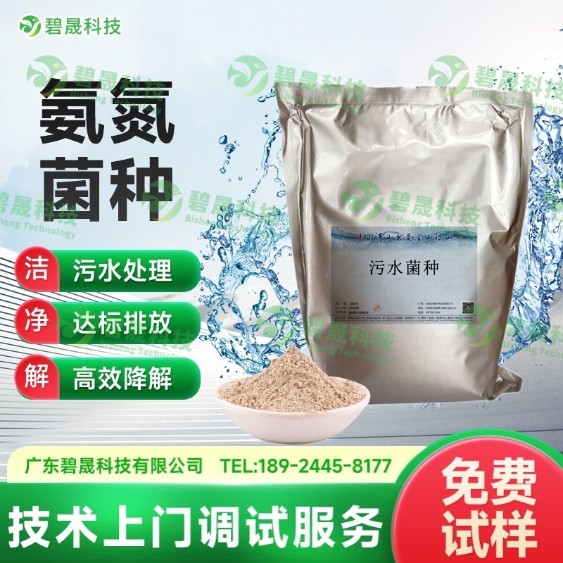 氨氮菌种