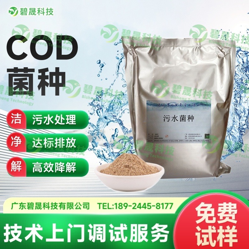 COD菌种
